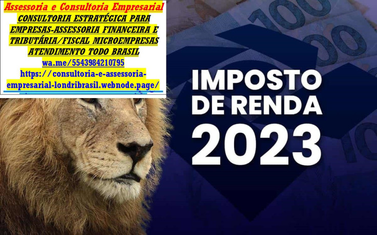 como-ter-contadorimposto-renda-2024-para-estrangeiros-big-0