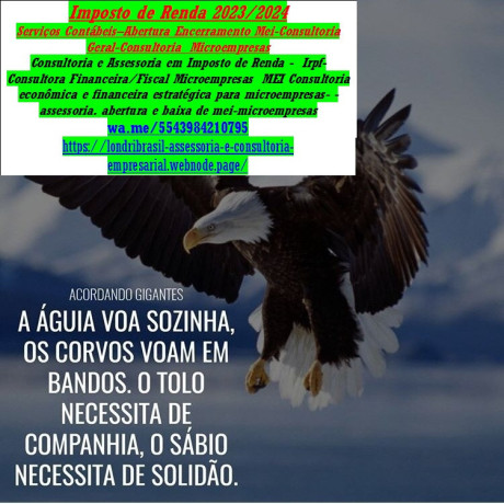 servicos-de-contabilidade-declaracao-de-trabalho-autonomo-big-0