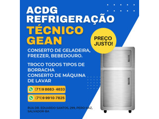 Conserto de geladeira, bebedouro e freezer em Salvador